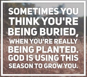 d760a917ddcca5422c4ebcb8db8fca64